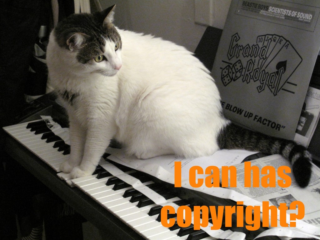I can has copyright?